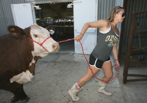Kings Fair 2011